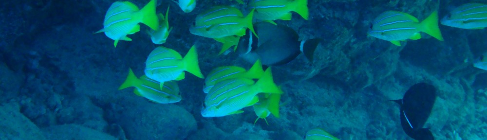 Jonathan Freedman Aquatic And Invasive Species Ecologist